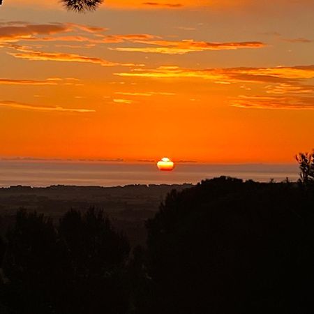 Nuances Del Conero Relais Bed & Breakfast Castelfidardo Luaran gambar